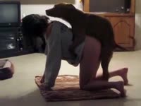 Small dog have kinky dog sex with hot milf